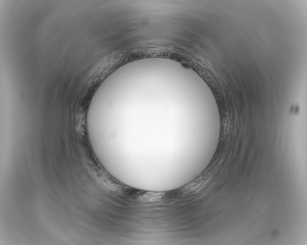 X0000094350138200711021322