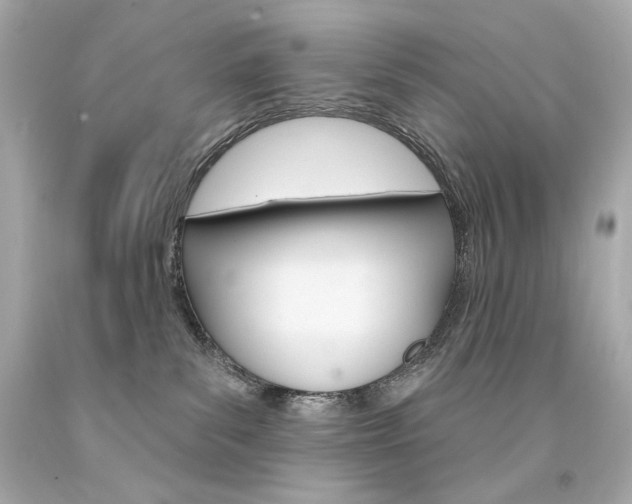 X0000094350139200711021322
