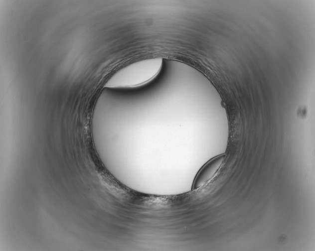 X0000094350140200711021322