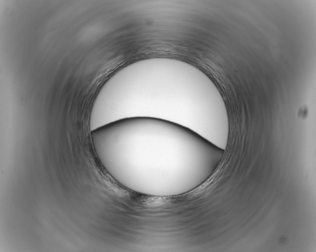 X0000094350142200711021322