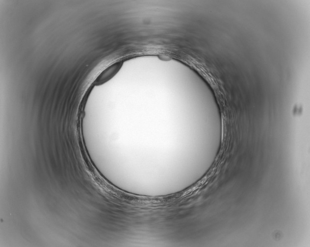 X0000094350147200711021321