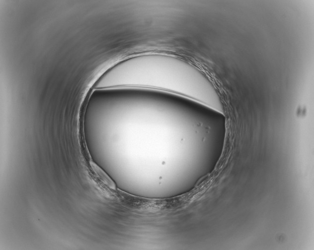 X0000094350148200711021321