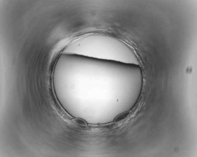 X0000094350149200711021321