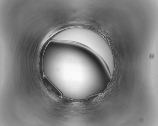 X0000094350150200711021321