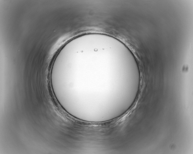 X0000094350151200711021321