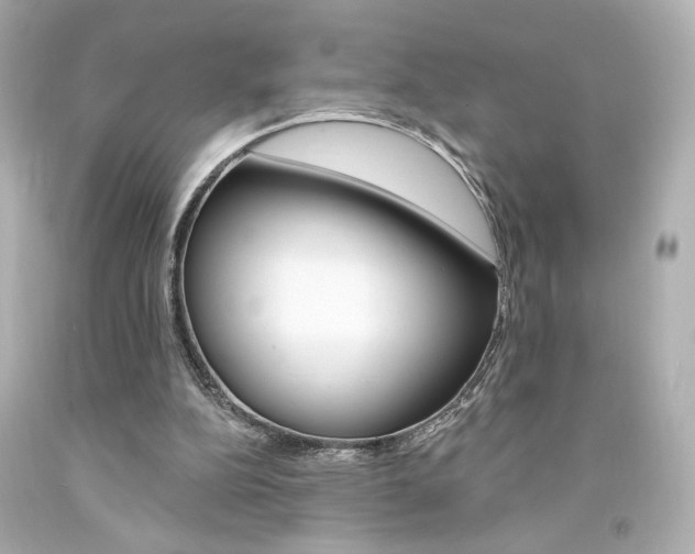X0000094350152200711021321