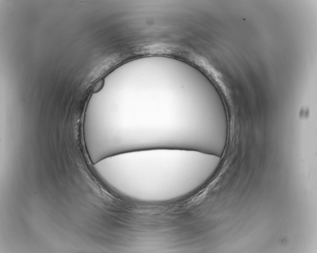 X0000094350153200711021321