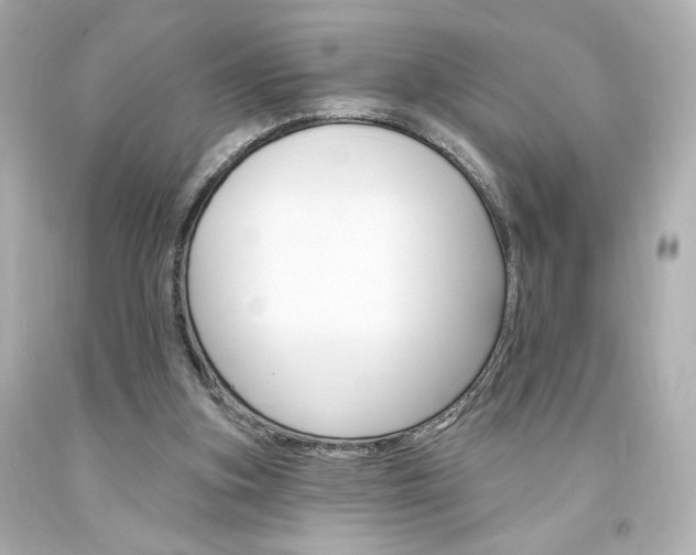 X0000094350155200711021321