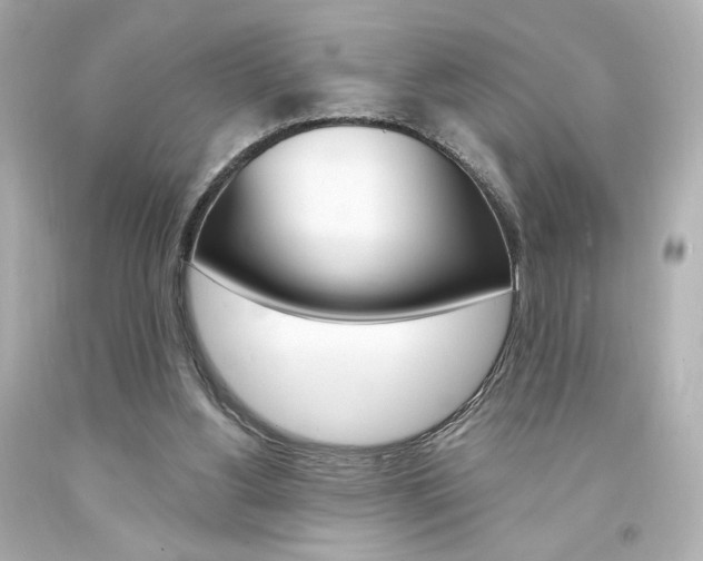 X0000094350156200711021321