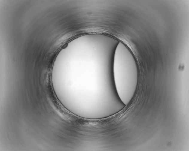 X0000094350157200711021321