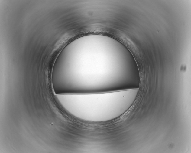 X0000094350158200711021321