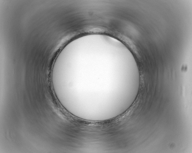 X0000094350159200711021321