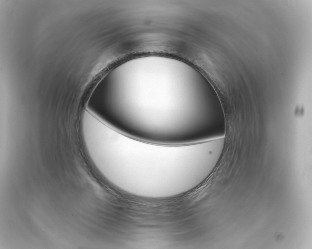 X0000094350160200711021321