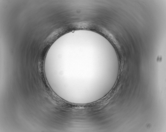 X0000094350161200711021321