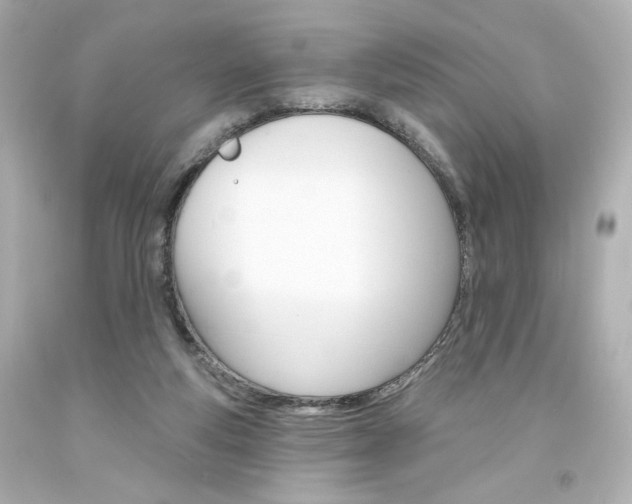 X0000094350163200711021321