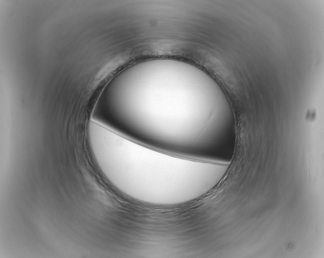 X0000094350164200711021321