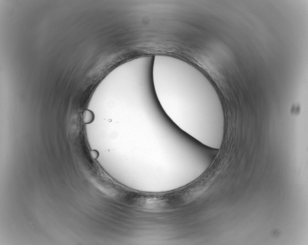 X0000094350165200711021321