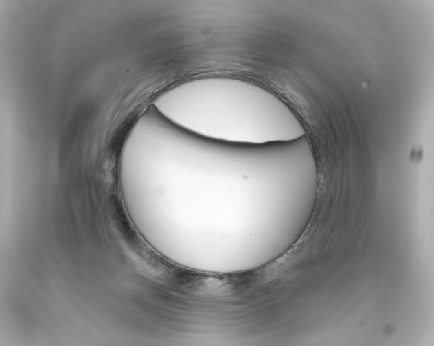 X0000094350166200711021321