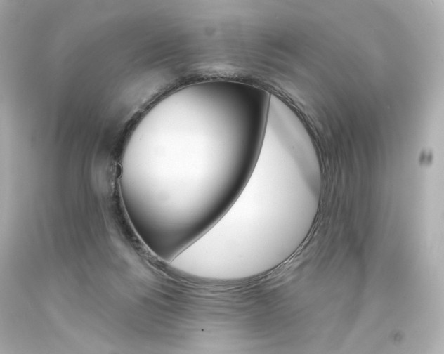 X0000094350168200711021321