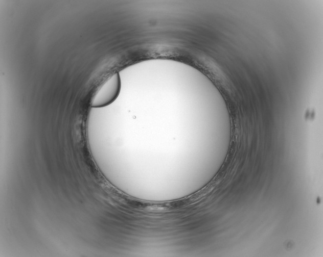 X0000094350169200711021321