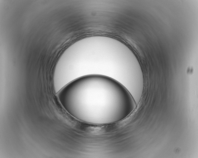X0000094350170200711021321