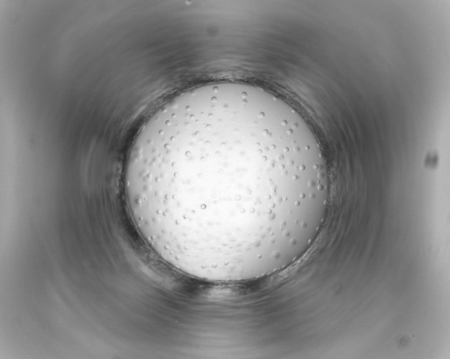 X0000094350171200711021321