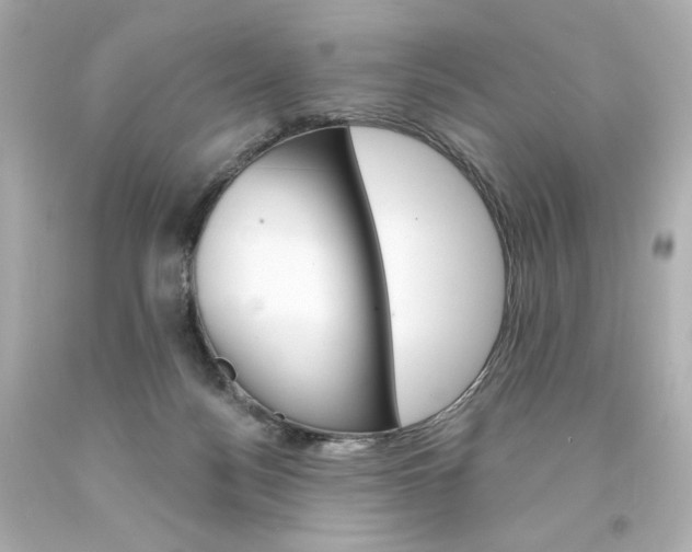 X0000094350172200711021321