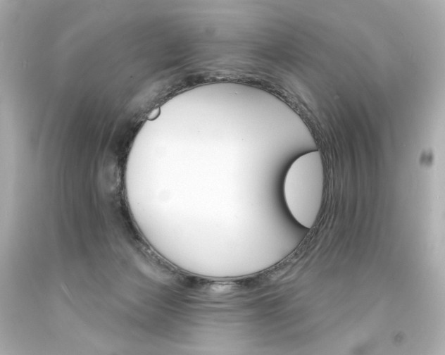 X0000094350173200711021321