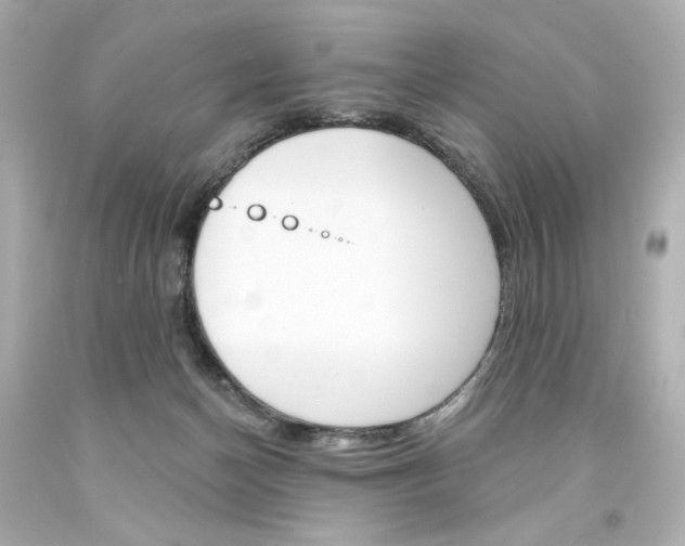 X0000094350174200711021321