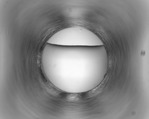 X0000094350175200711021321
