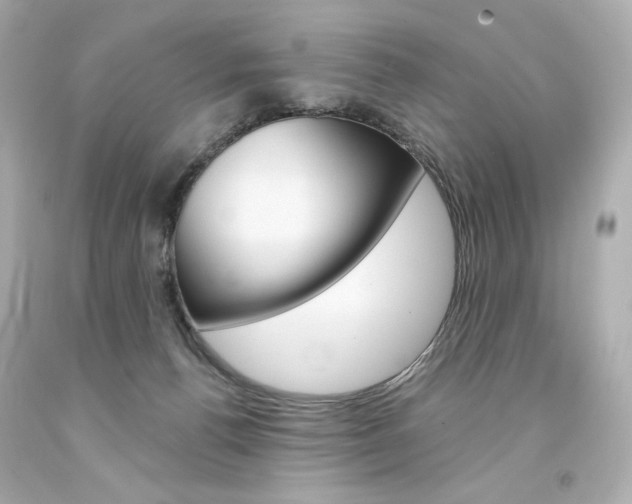 X0000094350176200711021321