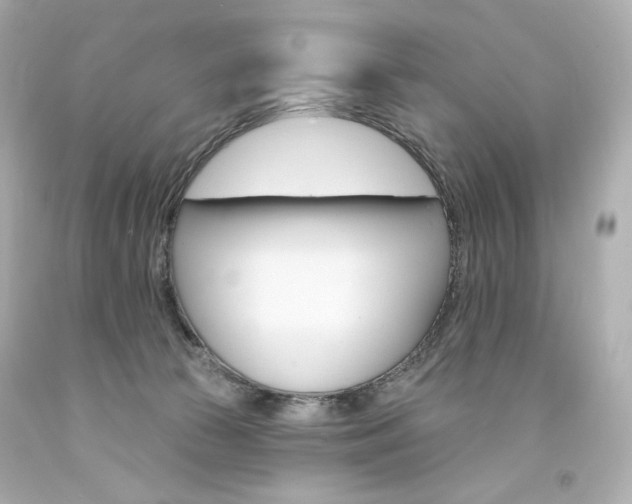 X0000094350177200711021321