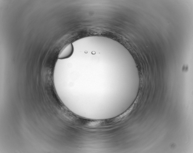 X0000094350178200711021321