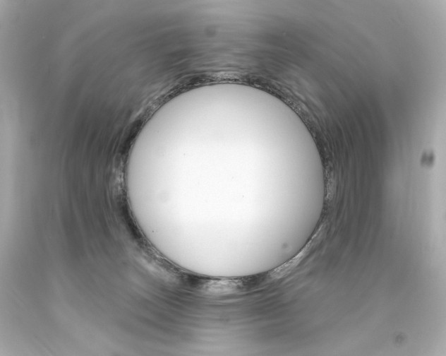 X0000094350179200711021321