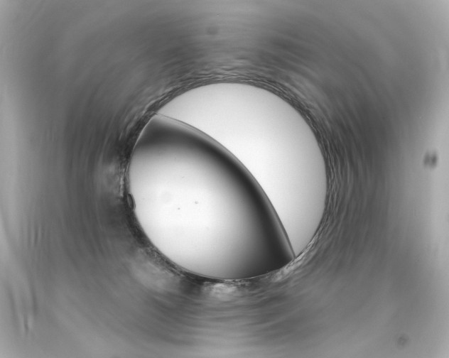 X0000094350180200711021321