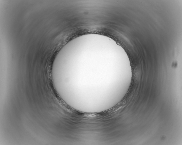 X0000094350181200711021321