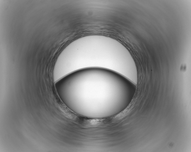 X0000094350184200711021321