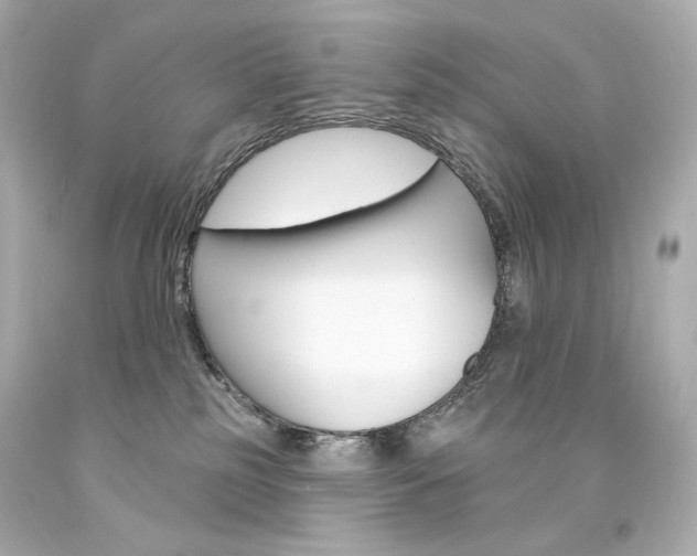 X0000094350185200711021321