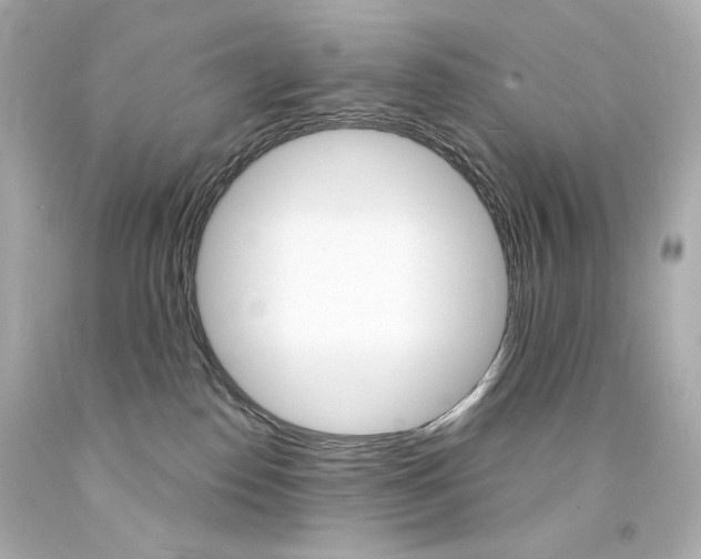 X0000094350186200711021321