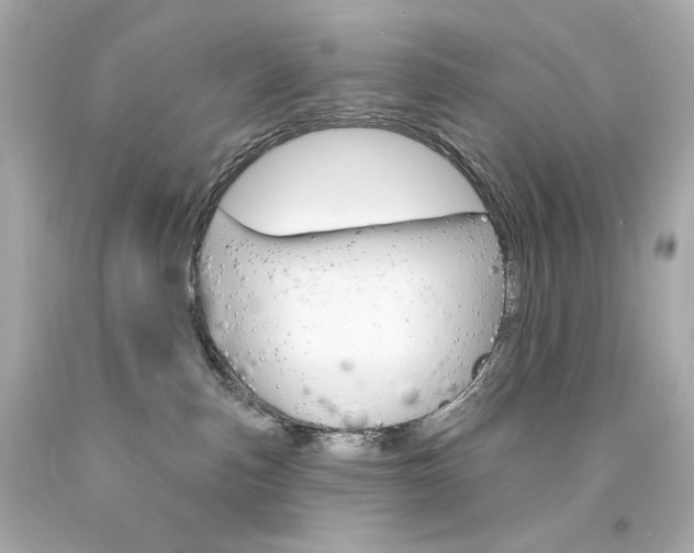 X0000094350187200711021321