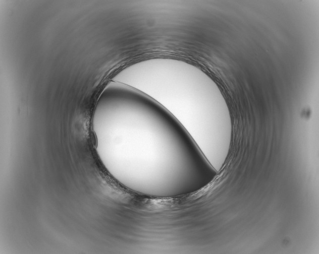 X0000094350188200711021321