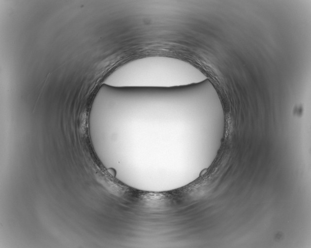 X0000094350189200711021321