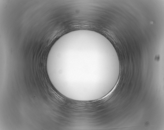 X0000094350190200711021321