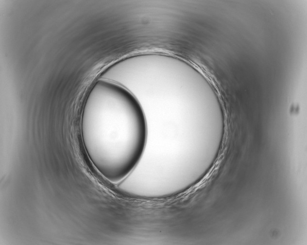 X0000094350193200711021321