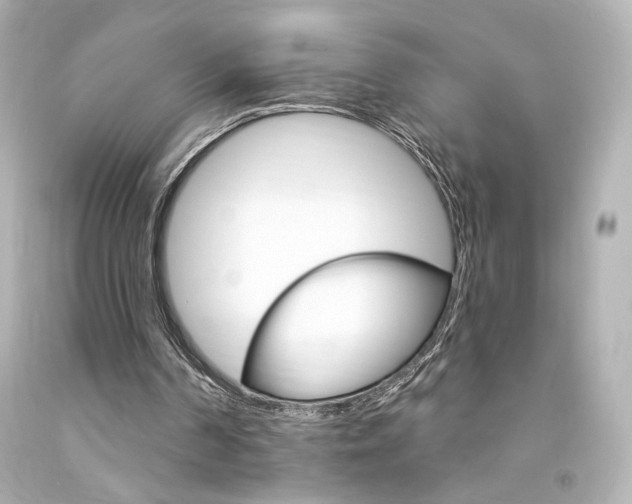 X0000094350194200711021321