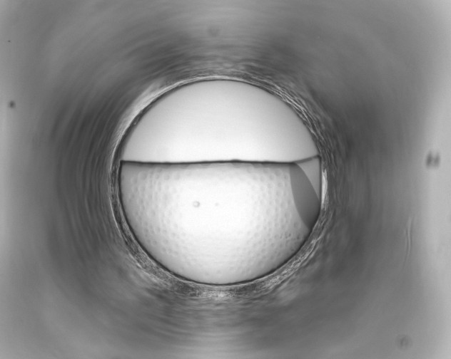 X0000094350195200711021321