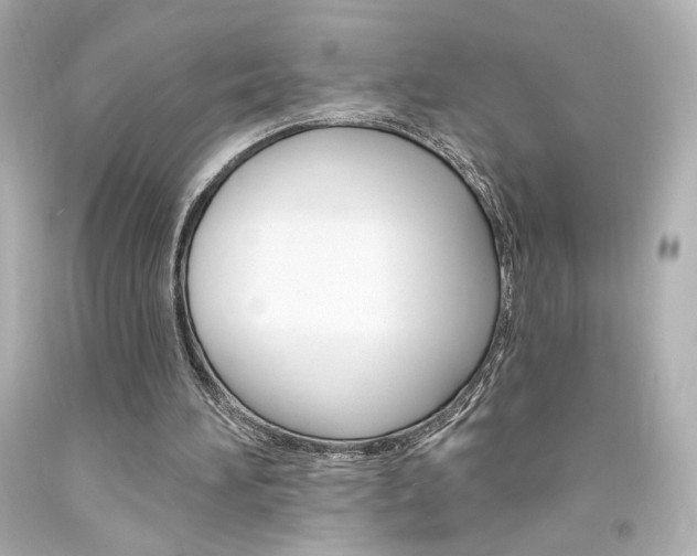 X0000094350196200711021321