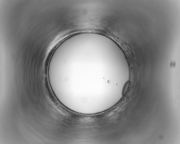 X0000094350198200711021321