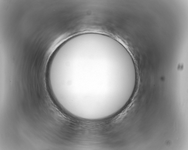 X0000094350199200711021321