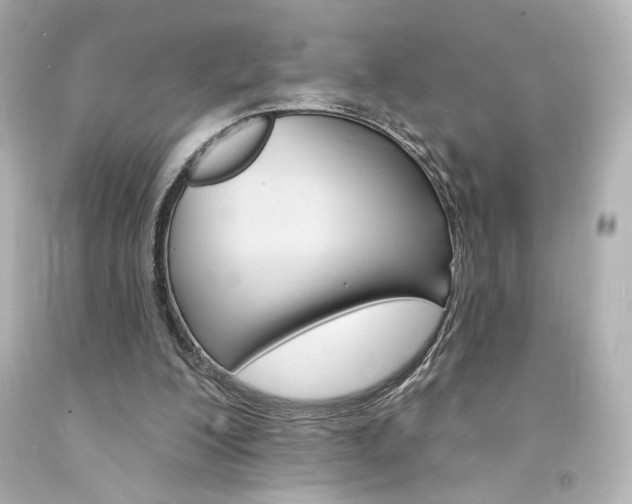 X0000094350200200711021321